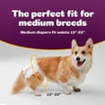 thumbnail image 7 of Inspire Pet Care Dog Diapers Female | Bulk Value Doggie Diapers for Female Dogs, Incontinence Female Dog Diapers for Heat or Pee Disposable Dog Diapers (Medium (48 Count)), 7 of 7