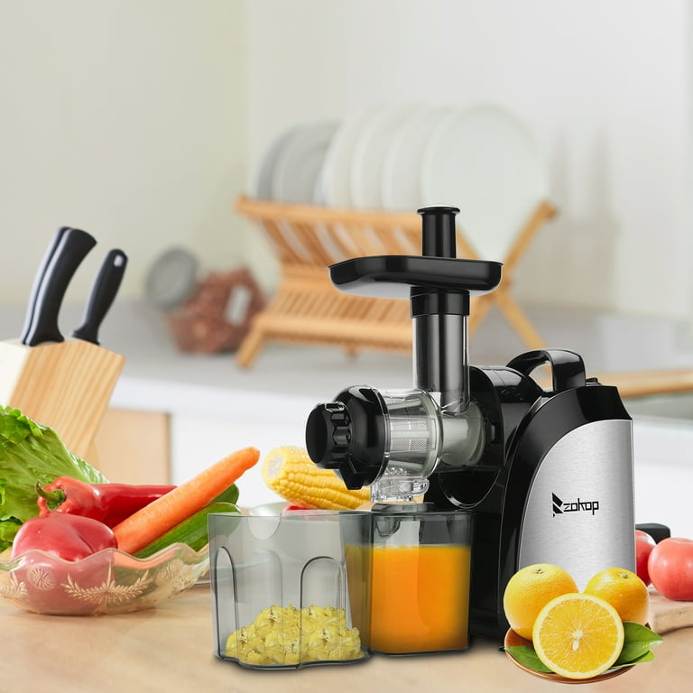 DEWINNER Slow Masticating Mini Juicer Extractor Easy to Clean, Cold Press Juicer Machine with Quiet Motor for High Nutrient Fruit & Vegetable Juice