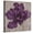 Canvas, variant on Art.com Black Plum 2 Stretched Canvas Print Wall Art by Ariane Martine, 16" x 16"