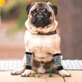 thumbnail image 3 of 1 Juego de calentadores de patas para perros para uso en invierno, calcetines para patas de mascotas, protectores de codos para perros, vendas para patas de mascotas (L), 3 of 7