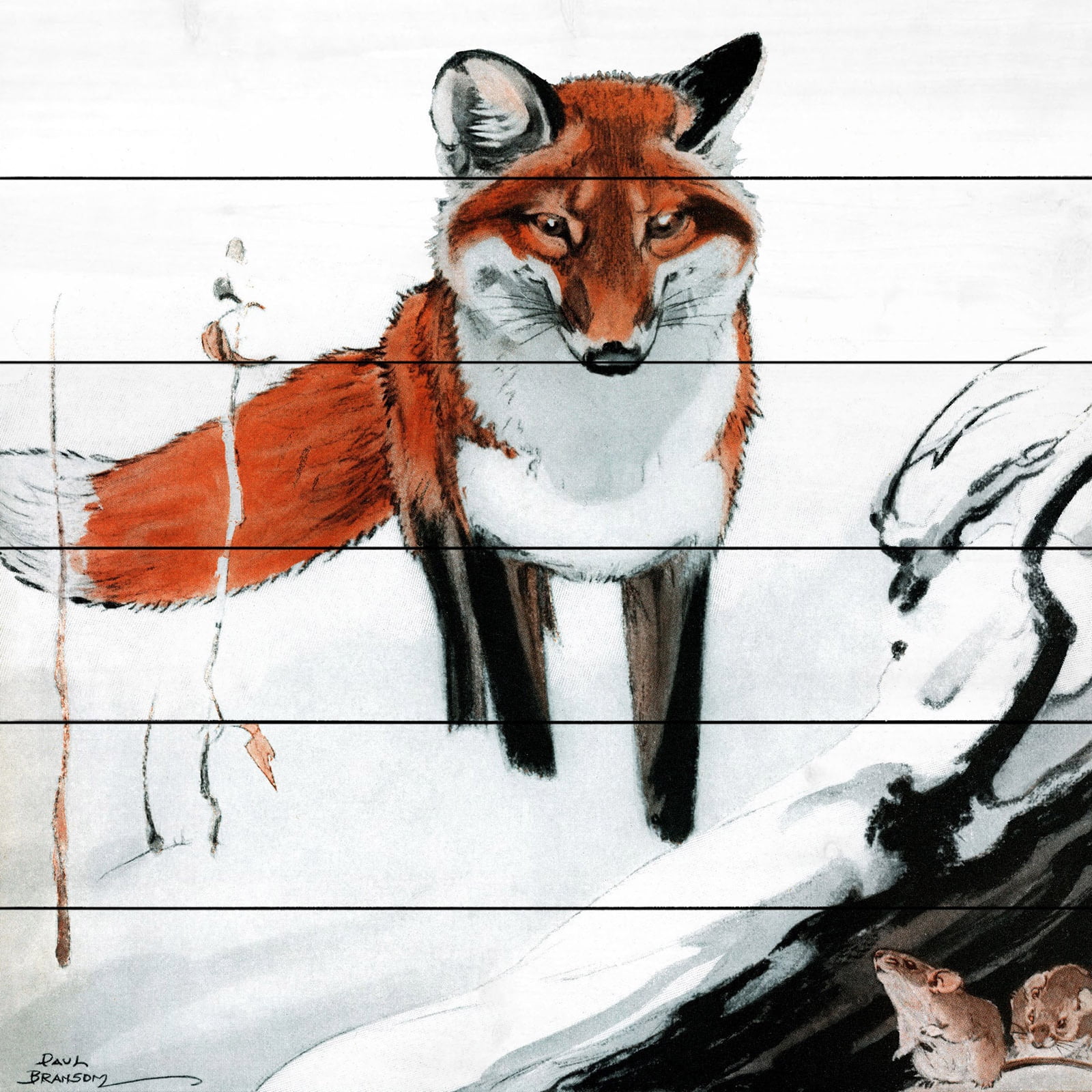 Marmont Hill "Snow Fox" Painting Print on White Wood