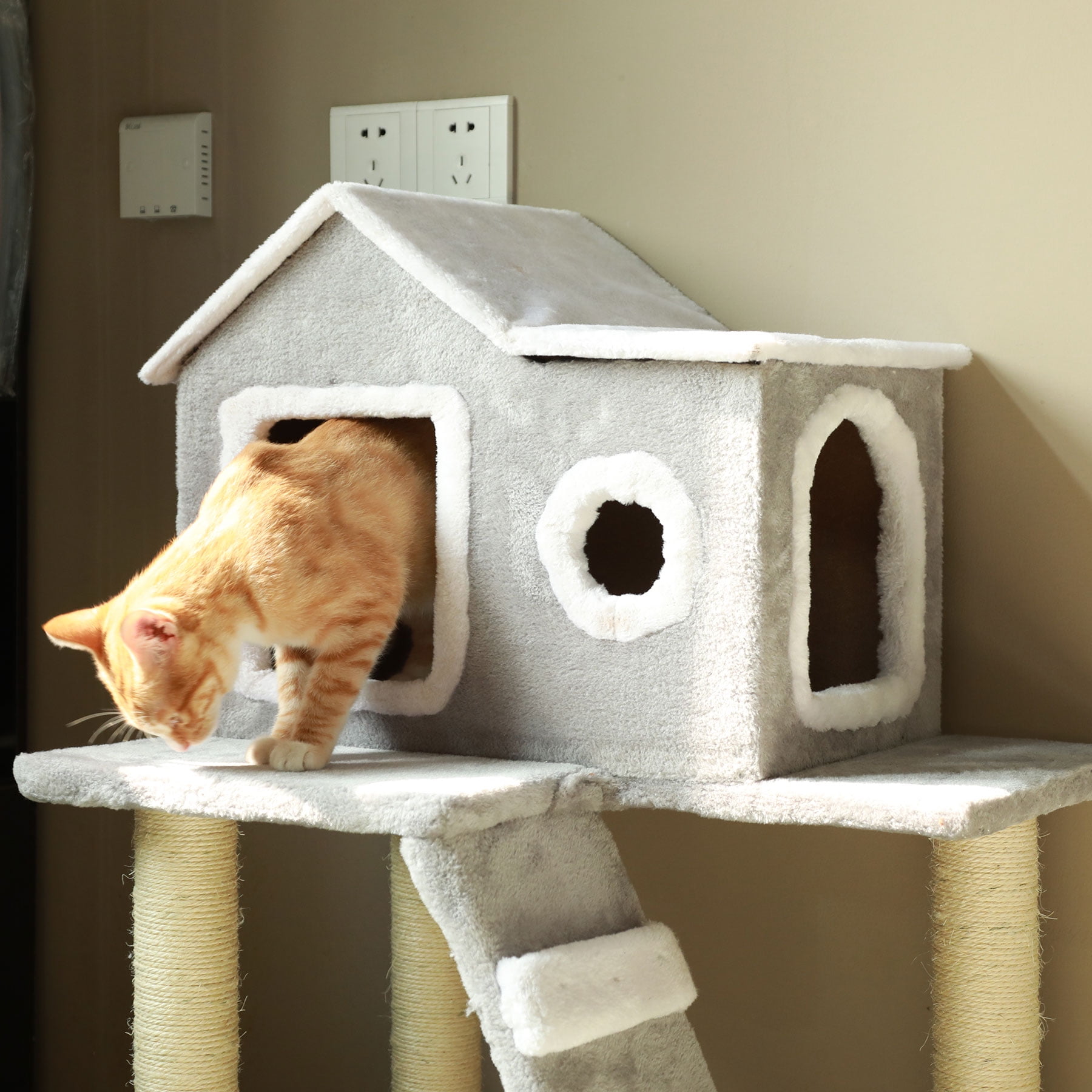 download the last version for windows Cat Condo download the last version for windows Cat Condo