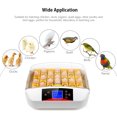 thumbnail image 4 of Graflsoa 41-Egg Smart Incubator with Auto Egg Turning, Built-in Fan, LCD Display, and Temperature/Humidity Control for Poultry and Bird Eggs, 4 of 6