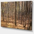 thumbnail image 2 of Forêt de Carpates Épaisse - Impression sur Toile, 2 of 4