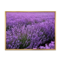 Designart 'Blooming Purple Lavender Meadow' Farmhouse Framed Canvas Wall Art Print