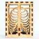 thumbnail image 3 of Lámpara de sombra de costilla de esqueleto humano de terror exquisito hecho a mano de madera de Halloween Wmkox8yii gf11468, 3 of 9
