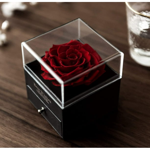 HAND - Box in Love Ours en peluche Saint Valentin avec paquet cadeau,  pétales et lettre d'amour - Ours en peluche Saint Valentin pour elle et  pour lui : : Jouets