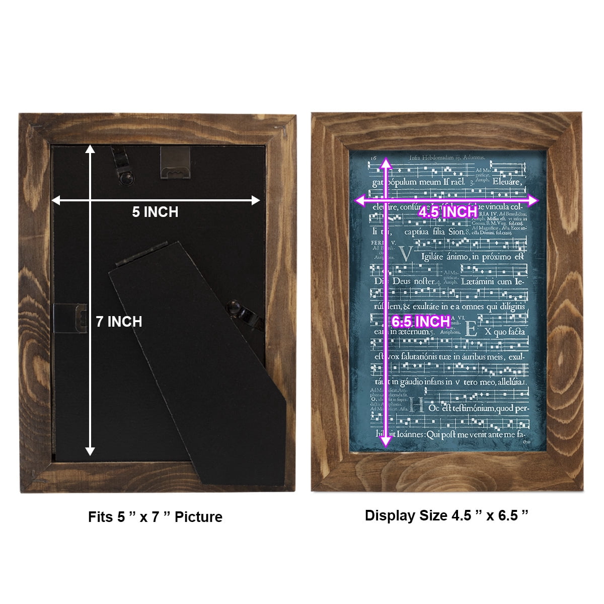 Graphic Songbook I -Framed Print w/glass-Walnut