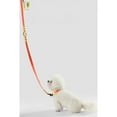 thumbnail image 6 of THE LICKER STORE Luna Small 8FT Adjustable 6-in-1 Waterproof Hands-Free Leash and Collar with LED Flashlight, Bag Dispenser, and Poop Bag Holder, Dark Orange/Light Orange, WLK1004A-5SET, 6 of 7