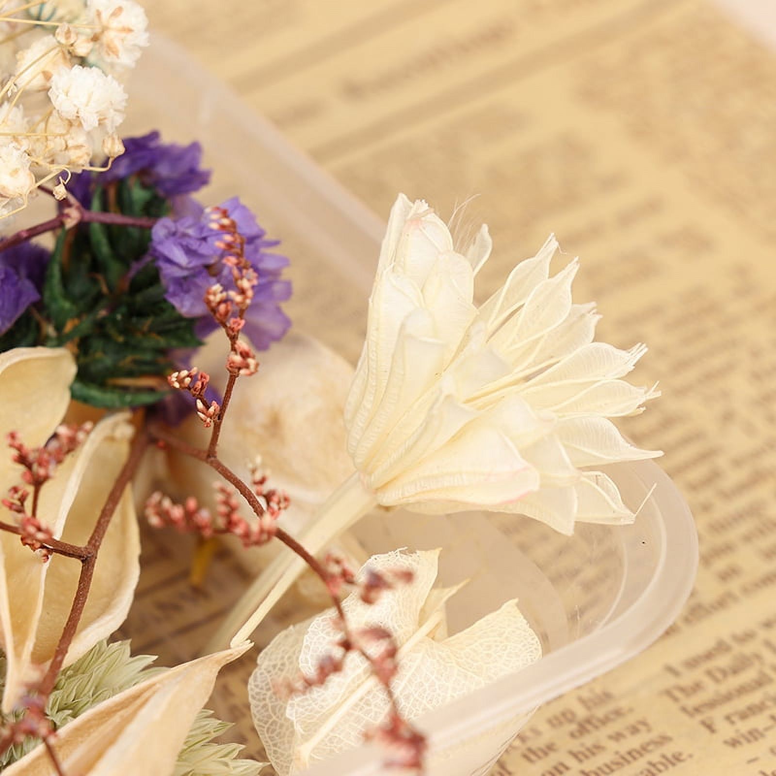 1pack Dried Flowers & Everlasting Flowers For Diy Frame, Candle Making,  Aromatherapy