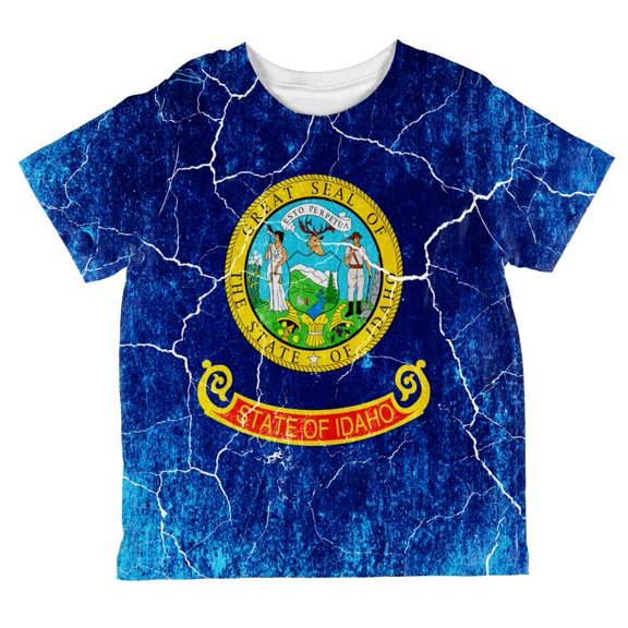 Idaho Vintage Distressed State Flag All Over Toddler T Shirt