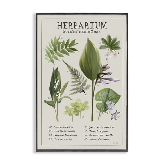 Stupell Industries Herbarium Woodland Shade Collection Black Framed Giclee Art, design by House Fenway