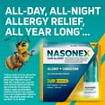 thumbnail image 2 of Nasonex 24Hr Allergy Nasal Spray - 120 Spray, 2 of 5