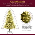 thumbnail image 5 of Kacho 6.5FT Pre-lit Artificial Christmas Tree with Lights, Artificial Xmas Tree, Prelit Christmas Tree for Indoor Outdoor Yard Decorations, Metal Base Stand for Home, Office, Party Decoration, Green, 5 of 7