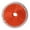 Red, variant on Stainless Steels Outdoor Rock Climbing Rope Nylon Brush Cleaning Tools for Caving Arborist Cord Tree Caving Rope Cord