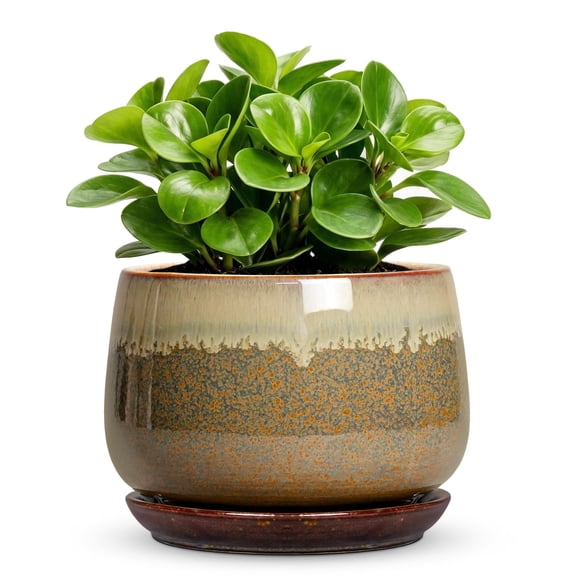 Ordivic 5 inch Rustic Glazed Ceramic Plant Pot with Drainage Hole and Saucer, Small Indoor Planter Pot for Succulents, Cactus,Gift for Plant Lovers