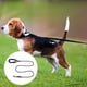 thumbnail image 3 of Correa para perros con asa cómoda y correa para perros de reflectancia Correa de poliéster resistente para perros Correas para perros y Negro, 3 of 8