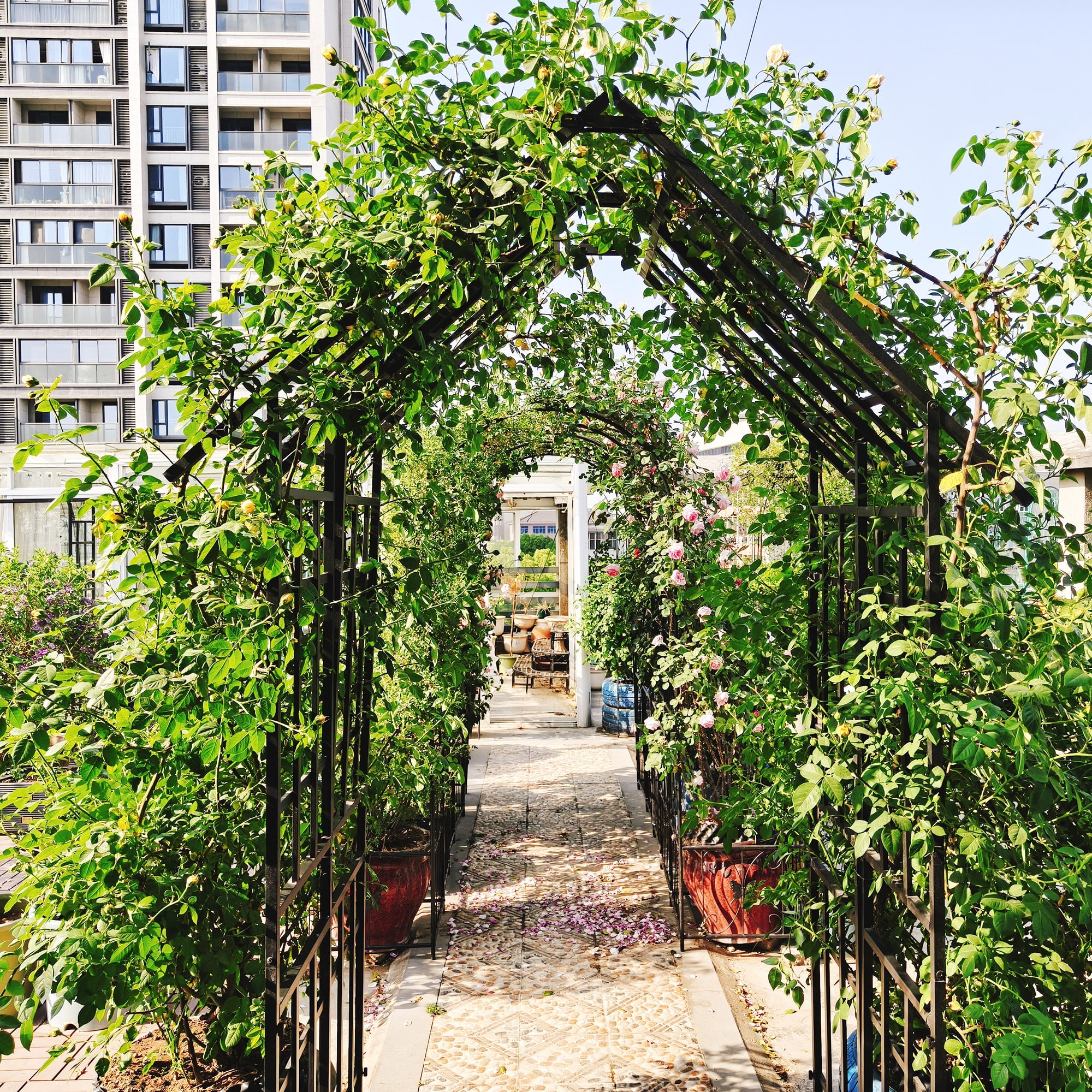 Garden Arch with Gate, Climbing Plants Support Rose Arch Outdoor Black