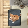 thumbnail image 5 of Washable Pee Pads for Dogs 35.4"X29.5", Absorbent Reusable Training Dog Pads Pet Puppy Pads, Non- Potty Pads for Whelping Playpen Crate Bed, Grey (1 Pack, A), 5 of 7