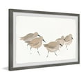 thumbnail image 2 of Parvez Taj Birds Framed Art Prints, 2 of 6