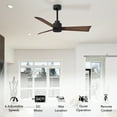thumbnail image 3 of Matthews Fan Company AK-BK-WN-42 Alessandra 42” Matte Black Ceiling Fan with 3 Walnut Blades, Remote Control, Indoor/Outdoor Wet Rated, 3 of 6