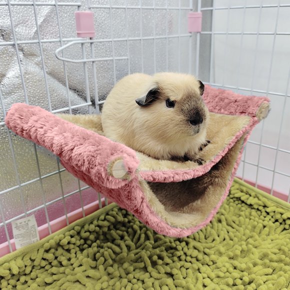 Xihbxyly Hamaca Pequeña para Mascotas, Diseño de Doble Capa, Cómoda Cama para Dormir, Fácil Instalación, Ideal para Cobayas, Hámsteres, Hurones, Ratas y Ardillas, Tamaño 20 X 10 Cm, Regalo Ideal para