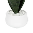 thumbnail image 3 of Kotera Snake Plant in Ceramic Pot, 3 of 8