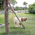 thumbnail image 3 of Dog Leash Training Lead Outdoor Long Leash, 3 of 5