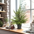 thumbnail image 4 of Bootesun 2FT Tabletop Artificial Norfolk Pine Tree - 24" Faux Tree Potted Green for Front Porch Christmas Decorations, Indoor Outdoor Christmas Ornament, 4 of 10
