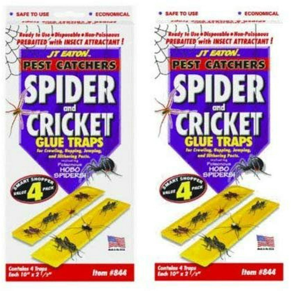 JT Eaton 844 Spider and Cricket Glue Trap, 8 pcs
