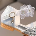 thumbnail image 6 of Toddler Girls Princess Shoes Dress Shoes Sandals Flower Girl Shoes Wedding Party Low Heels Flats for Kids, 6 of 12