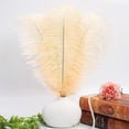 thumbnail image 4 of Nvzi 24 piezas de plumas de avestruz moradas naturales a granel de 10 a 12 pulgadas, 25 a 30 cm, para centros de mesa de bodas, fiestas, Pascuas, Gatsby y decoración del hogar, plumas de avestruz, 4 of 4