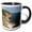 Black/White, variant on 3drose, Canada, Nova Scotia, Cape Breton, Ingonish-cn07 Cmi0492 - Cindy Miller Hopkins, 11oz Mug