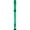 Transparent Green, variant on Lyons Premium 3-Piece Translucent Soprano Recorder Transparent Purple