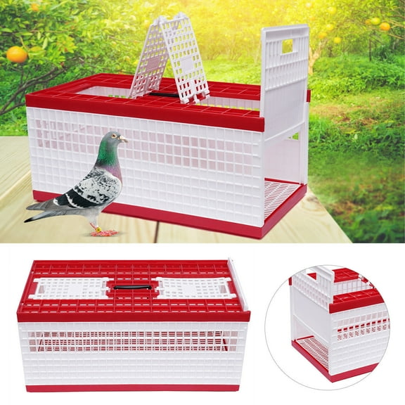 Racing Pigeon Carrier Box Bird Training Basket & 2 Side Doors 2 Top Doors Box