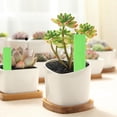 thumbnail image 1 of 20 piezas de plástico para plantas, etiquetas para jardín, vivero, maceta, etiquetas para plántulas Sywqhk Libre de BPA, 1 of 7