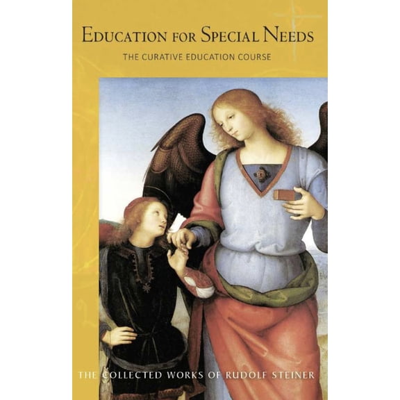Collected Works of Rudolf Steiner: Education for Special Needs: The Curative Education Course (Cw 317) (Paperback)