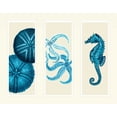 thumbnail image 2 of Fab Funky 14x12 Black Ornate Wood Framed with Double Matting Museum Art Print Titled - Three Panel Print Sea Urchin Starfish and Seahorse in Blue, 2 of 4