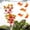 F, variant on Artificial Aquarium Plants – 7.78 Inch Plastic Fish Tank Décor – Low Maintenance, Aquarium Decoration – Adds Color to Your Tank, Perfect for Home & Aquarium Use, A