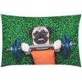 thumbnail image 3 of Juego de ropa de cama de 3 piezas ABPHQTO Funda de edredón Pug Dog hierba verde con 2 fundas de almohada, 3 of 4