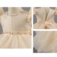 thumbnail image 5 of BLTIBY Girls Flower Sequin Tulle Dress Cute Ruffle Toddler Wedding Princess Party Birthday Pageant Prom Dresses Beige 7-8 Years, 5 of 9