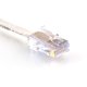 thumbnail image 1 of Cable Ethernet Networx Cat 6 30 m Blanco 10 Gbps, 1 of 2