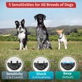 thumbnail image 2 of Collar Antiladridos PetJoy para Perros Pequeños 3 Unidades 2-7 kg, 2 of 9