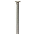 thumbnail image 2 of Hillman 1/4" Stainless Steel Carriage Bolt, 2 of 2
