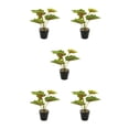 thumbnail image 1 of Inteprter Plantas falsas en macetas de tortuga ABS, hojas artificiales de bajo mantenimiento para el hogar, oficina, sala de estar JH5478 Type2 NO2, 1 of 6