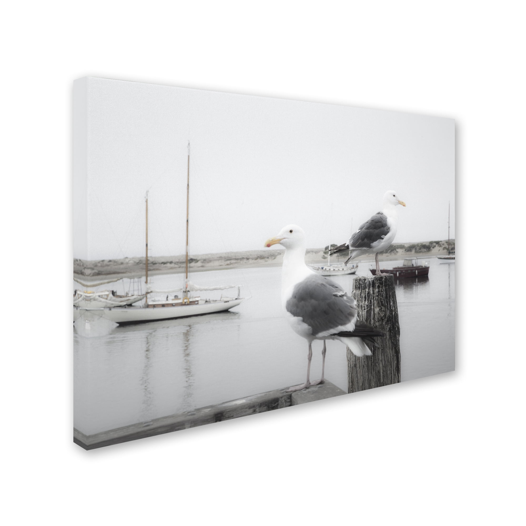 Trademark Fine Art "Two Seagulls and Boats" Canvas Art by Moises Levy