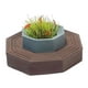 thumbnail image 2 of Modelo de terraza CUTICAT 1:64 Micro paisaje adorno de escritorio Estilo A, 2 of 8