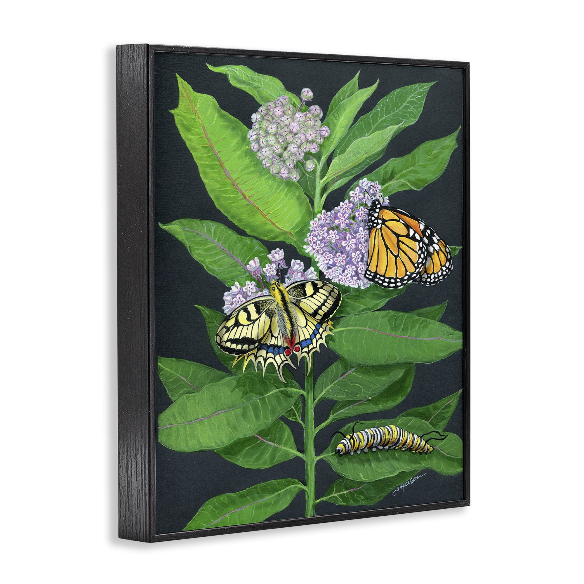 Stupell Industries Vintage Milkweed & Insects Animals & Insects Painting Black Framed Art Print Wall Art, 16 x 20