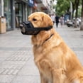 thumbnail image 6 of Toycle Dog Muzzle Dog Mouth Cover Mesh Block Gnaw Resist Licking Breathable Drink Easily Adjustable Muzzle Dog Mouth Guard Pet Muzzle H, 6 of 9