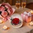 thumbnail image 6 of Preserved Real Flower Glass Dome Eternal Carnation Rose Display For Home Tabletop Decor Gift, 6 of 9